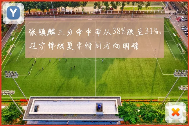 张镇麟三分命中率从38%跌至31%,辽宁锋线夏季特训方向明确